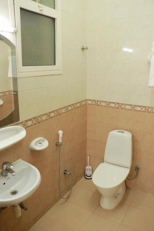 Al Nile Hotel image 9
